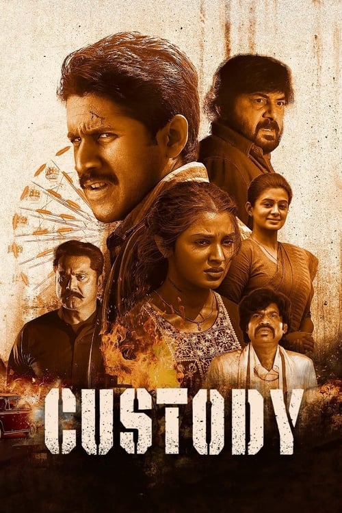 Custody (Hindi)